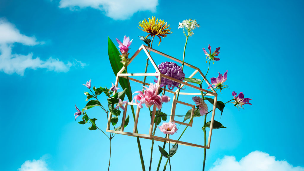 Image of a wooden frame house filled with flowers