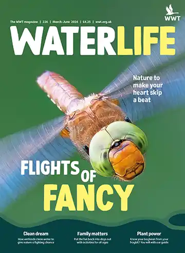 Cover of March-June 2024 Waterlife magazine, for WWT, 